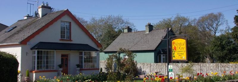 Mystical Rose Otel Killarney Dış mekan fotoğraf